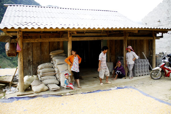 Các hộ dân tỏ ra lo lắng về diện tích lúa bị thiệt hại.