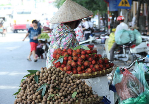 Hoa quả Nam - Bắc hội tụ