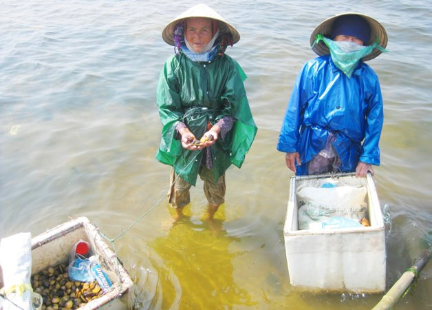 Những người phụ nữ lặn trìa kiếm tiền nuôi con, cháu ăn học