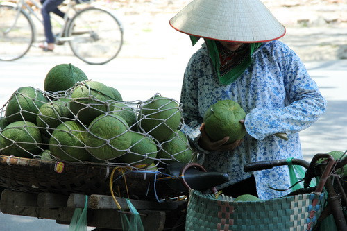 Tín hiệu vào thu từ màu xanh của bưởi
