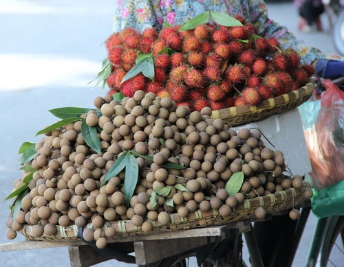 Tín hiệu của mùa