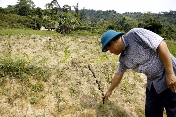 Xuất hiện nhiều vết nứt ở phía chân đồi.