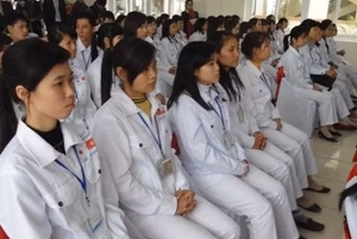 Gần 200 hộ lý sẽ sang Nhật làm việc