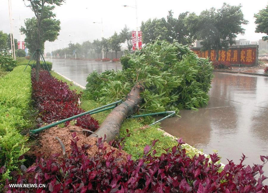 Bão Utor quật vào Trung Quốc