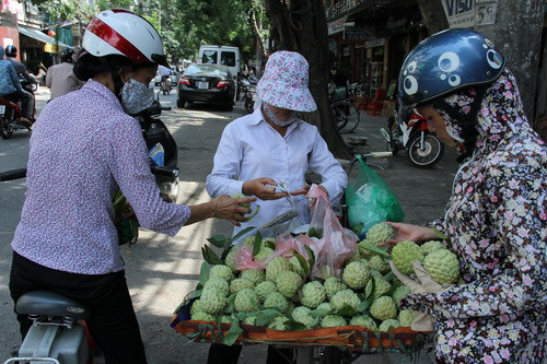 Mùa nào thứ nấy, họ đã mang sản vật của quê hương đến khắp phố phường Hà Nội