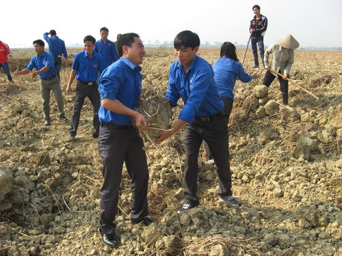 Thanh niên Sóc Sơn, Hà Nội tham gia phong trào "xây dựng nông thôn mới" Thanh niên Sóc Sơn, Hà Nội tham gia phong trào xây dựng nông thôn mới. Ảnh: Minh hằng
