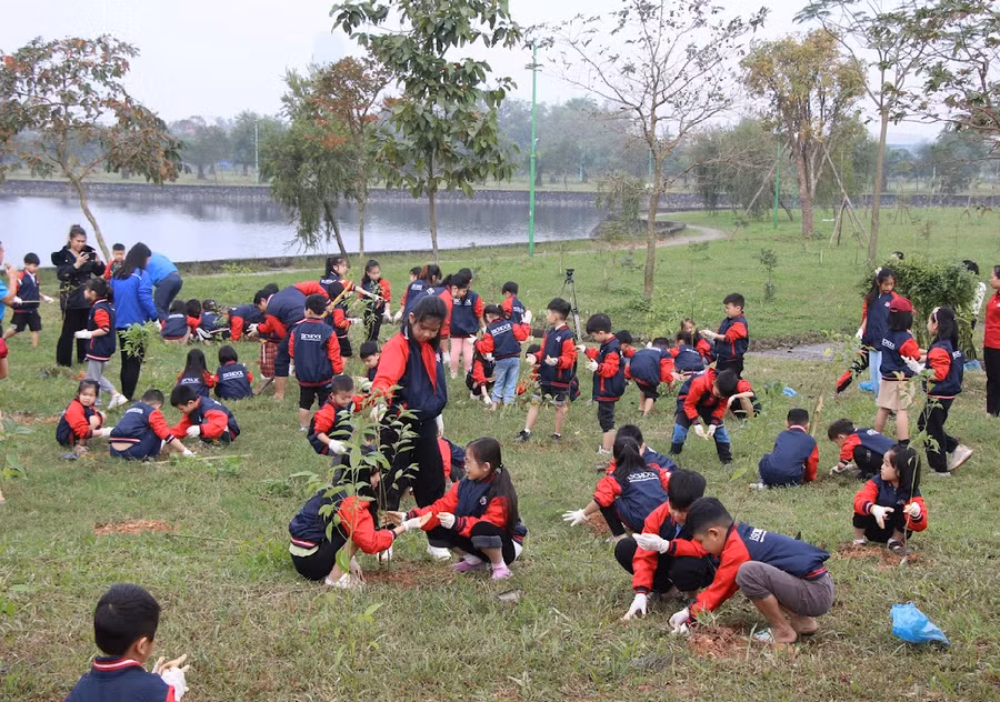 Giáo viên, học sinh Trường Hội nhập quốc tế iSchool tham gia trồng cây tại công viên trung tâm TP Hà Tĩnh.