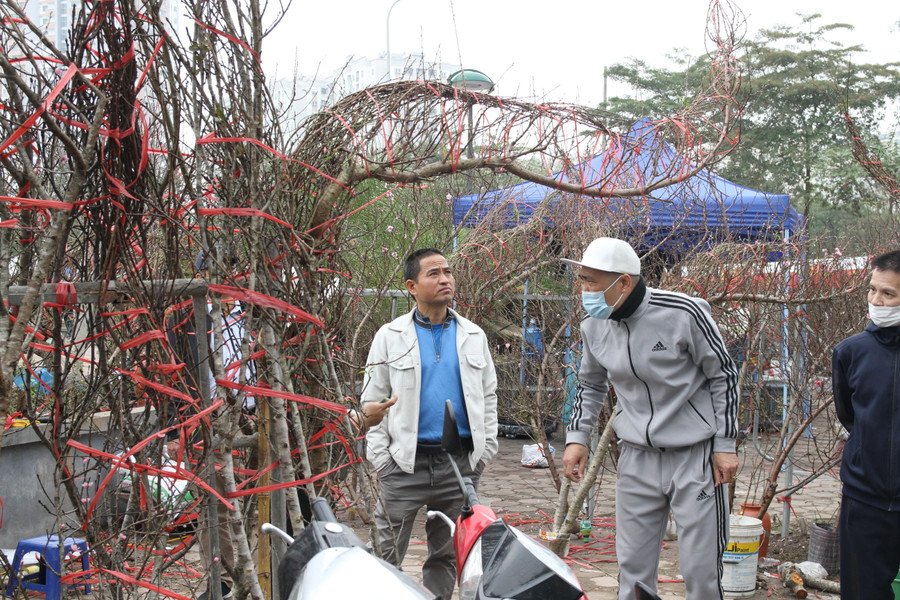 Thị trường cây cảnh sôi động khi cận kề Tết Nguyên đán 2023. Thị trường cây cảnh sôi động khi cận kề Tết Nguyên đán 2023.