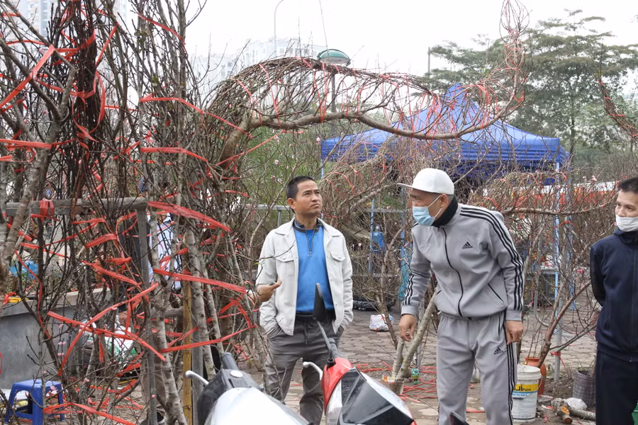 Thị trường cây cảnh sôi động khi cận kề Tết Nguyên đán 2023.