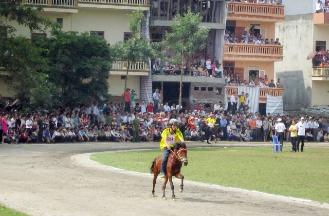 Chú ngựa số 29 cán đích và chiếm ngôi vô địch; Vinh danh người chiến thắng