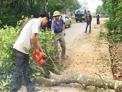 Khẩn trương chuẩn bị Festival Trà Quốc tế - Thái Nguyên 2011