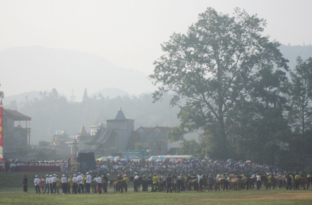 Từ sáng sớm,các nài ngựa đã cómặt cùng các chú ngựa yêu quý tại đường đua