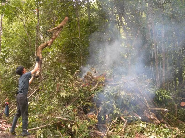 Đang thiêu hủy voi Beck khăm. Ảnh TÂY NGUYÊN