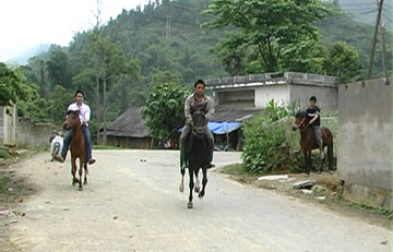 Huấn luyện Ngựa chạy trên đường trong xã Na Hối Huấn luyện Ngựa chạy trên đường trong xã Na Hối