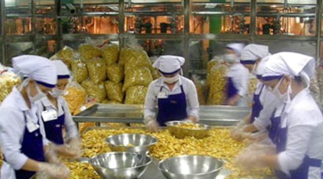 Bao giờ xuất khẩu đồ "nhà quê" đến thành thị ảnh 2 Chế biến mít xuất khẩu đang thiếu nguồn nguyên liệu