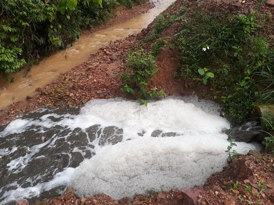 Nước thải chăn nuôi từ công ty chảy thẳng ra đường giao thông và kênh mương Nước thải chăn nuôi từ công ty chảy thẳng ra đường giao thông và kênh mương