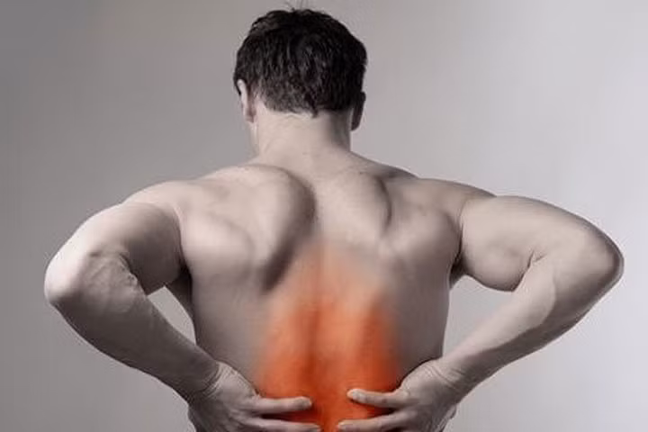 Vị thuốc đa năng từ cây xấu hổ