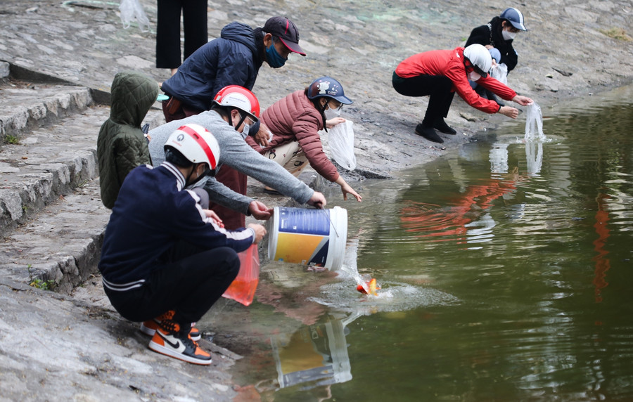 Nhiều gia đình mua cá chép sống về làm lễ cúng tiễn ông Công ông Táo với ý niệm các ông lên đường &quot;thuận buồm xuôi gió&quot;. Sau khi cúng xong, nhiều người sẽ chọn địa điểm để phóng sinh cá.