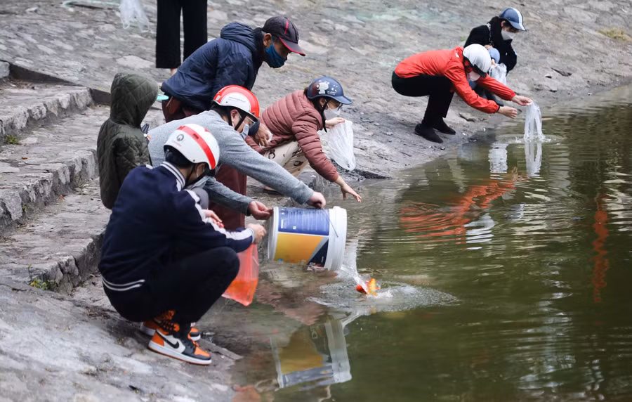 Nhiều gia đình mua cá chép sống về làm lễ cúng tiễn ông Công ông Táo với ý niệm các ông lên đường "thuận buồm xuôi gió". Sau khi cúng xong, nhiều người sẽ chọn địa điểm để phóng sinh cá.