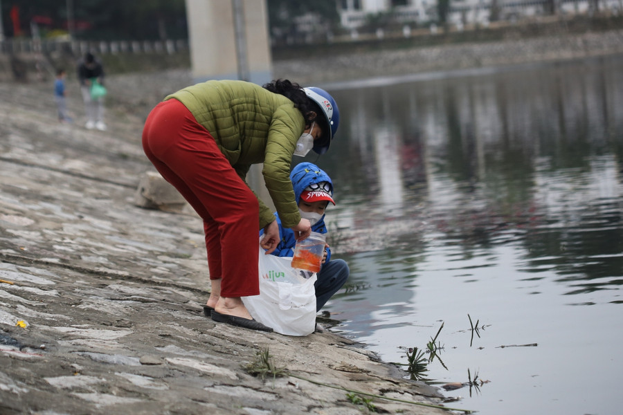 Cá chép phải được thả trước giờ Ngọ (12 giờ ngày 23 tháng Chạp).