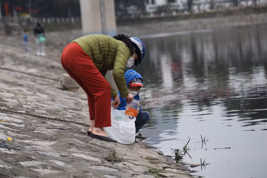 Cá chép phải được thả trước giờ Ngọ (12 giờ ngày 23 tháng Chạp).