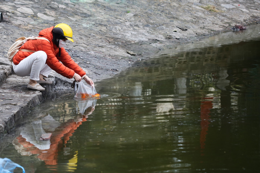 Người dân thả cá chép, thả luôn bát hương xuống hồ ngày ông Công ông Táo ảnh 5