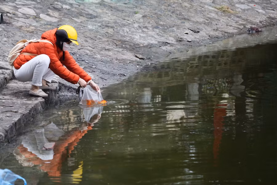 Người dân thả cá chép, thả luôn bát hương xuống hồ ngày ông Công ông Táo ảnh 5