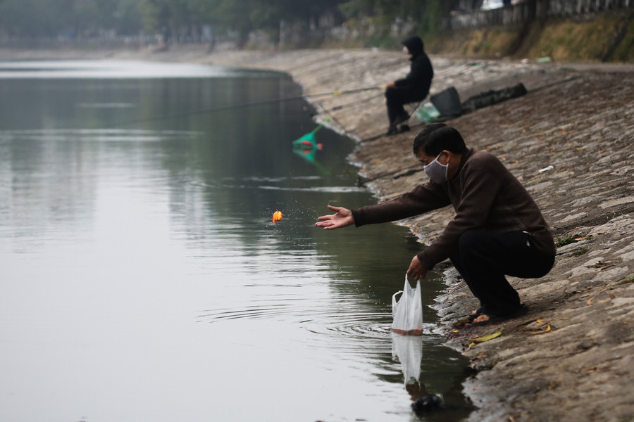 Nhiều người dân đã có ý thức khi thả cá không để lại túi nilong.