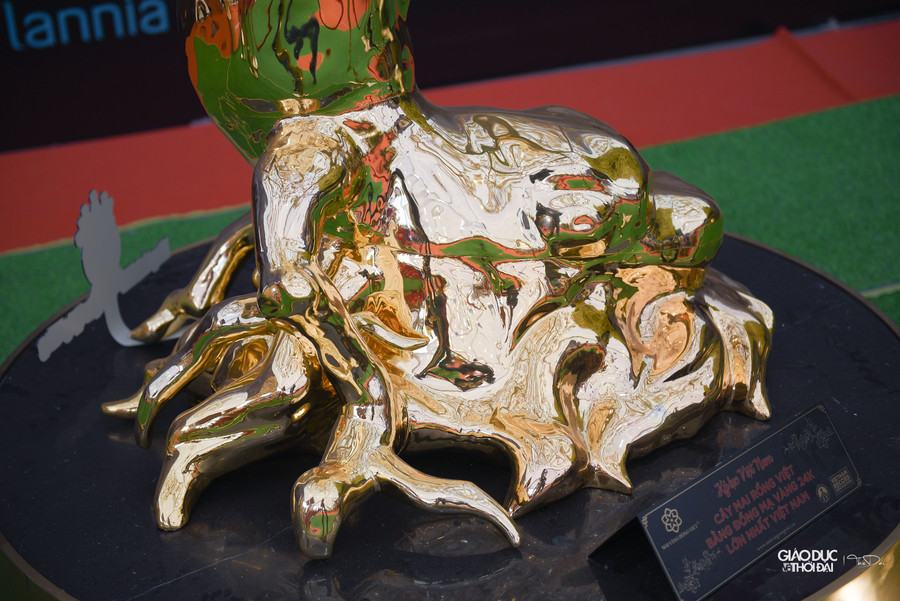 Sau thời gian trưng bày tại hội chợ tết, đơn vị mong muốn các doanh nghiệp trên cả nước chung tay đấu giá cây mai để dùng số tiền đó hỗ trợ người nghèo. Mức giá mong muốn là 5,5 tỷ đồng. Sau thời gian trưng bày tại hội chợ tết, đơn vị mong muốn các doanh nghiệp trên cả nước chung tay đấu giá cây mai để dùng số tiền đó hỗ trợ người nghèo. Mức giá mong muốn là 5,5 tỷ đồng.