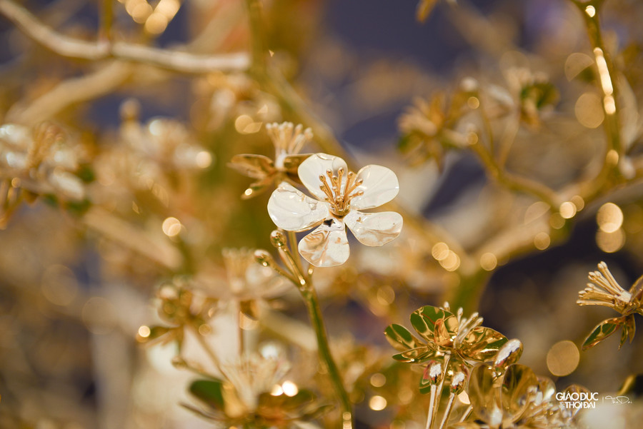 Anh Hoàng Văn Định (đại diện của đơn vị làm ra cây mai mạ vàng) cho biết, đây là năm đầu tiên đơn vị tung ra thị trường sản phẩm mai bằng đồng, mạ vàng. Anh Hoàng Văn Định (đại diện của đơn vị làm ra cây mai mạ vàng) cho biết, đây là năm đầu tiên đơn vị tung ra thị trường sản phẩm mai bằng đồng, mạ vàng.