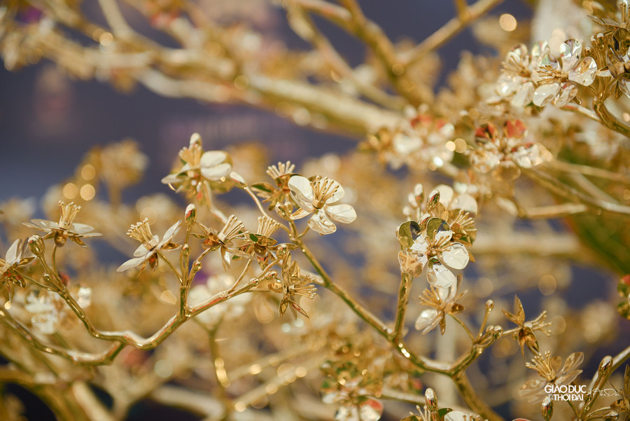 Sau thời gian trưng bày tại hội chợ tết, đơn vị mong muốn các doanh nghiệp trên cả nước chung tay đấu giá cây mai để dùng số tiền đó hỗ trợ người nghèo. Mức giá mong muốn là 5,5 tỷ đồng. Sau thời gian trưng bày tại hội chợ tết, đơn vị mong muốn các doanh nghiệp trên cả nước chung tay đấu giá cây mai để dùng số tiền đó hỗ trợ người nghèo. Mức giá mong muốn là 5,5 tỷ đồng.