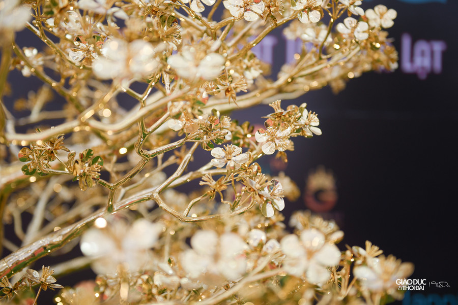 Sau thời gian trưng bày tại hội chợ tết, đơn vị mong muốn các doanh nghiệp trên cả nước chung tay đấu giá cây mai để dùng số tiền đó hỗ trợ người nghèo. Mức giá mong muốn là 5,5 tỷ đồng. Sau thời gian trưng bày tại hội chợ tết, đơn vị mong muốn các doanh nghiệp trên cả nước chung tay đấu giá cây mai để dùng số tiền đó hỗ trợ người nghèo. Mức giá mong muốn là 5,5 tỷ đồng.