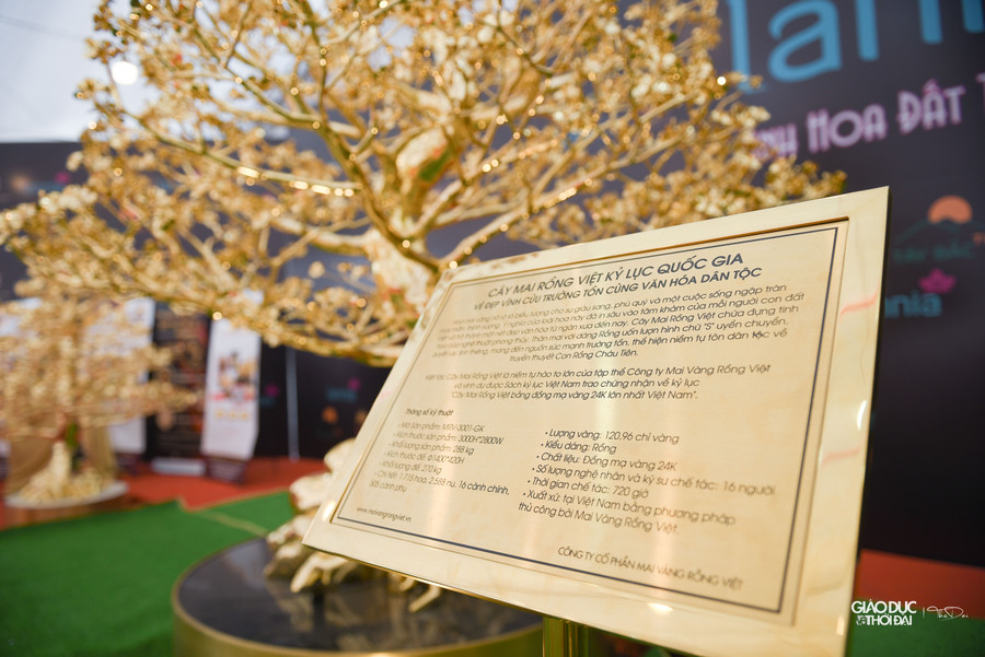 Cây hoa mai đồng dáng rồng gồm 1.715 bông hoa, 1.270 nụ nhỏ, 16 cành chính và 505 cành phụ được chế tạo thủ công hoàn toàn. Cây hoa mai đồng dáng rồng gồm 1.715 bông hoa, 1.270 nụ nhỏ, 16 cành chính và 505 cành phụ được chế tạo thủ công hoàn toàn.