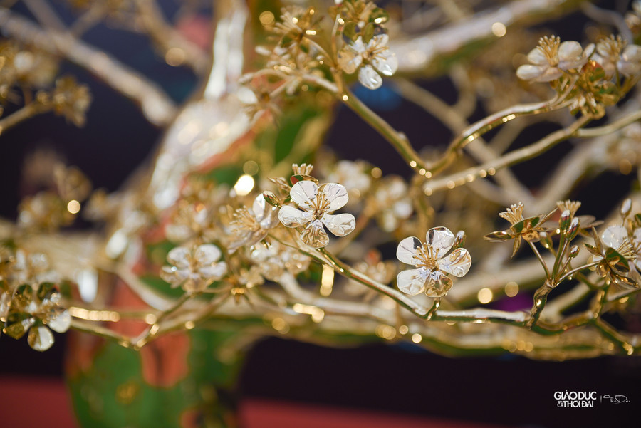 Sau thời gian trưng bày tại hội chợ tết, đơn vị mong muốn các doanh nghiệp trên cả nước chung tay đấu giá cây mai để dùng số tiền đó hỗ trợ người nghèo. Mức giá mong muốn là 5,5 tỷ đồng. Sau thời gian trưng bày tại hội chợ tết, đơn vị mong muốn các doanh nghiệp trên cả nước chung tay đấu giá cây mai để dùng số tiền đó hỗ trợ người nghèo. Mức giá mong muốn là 5,5 tỷ đồng.