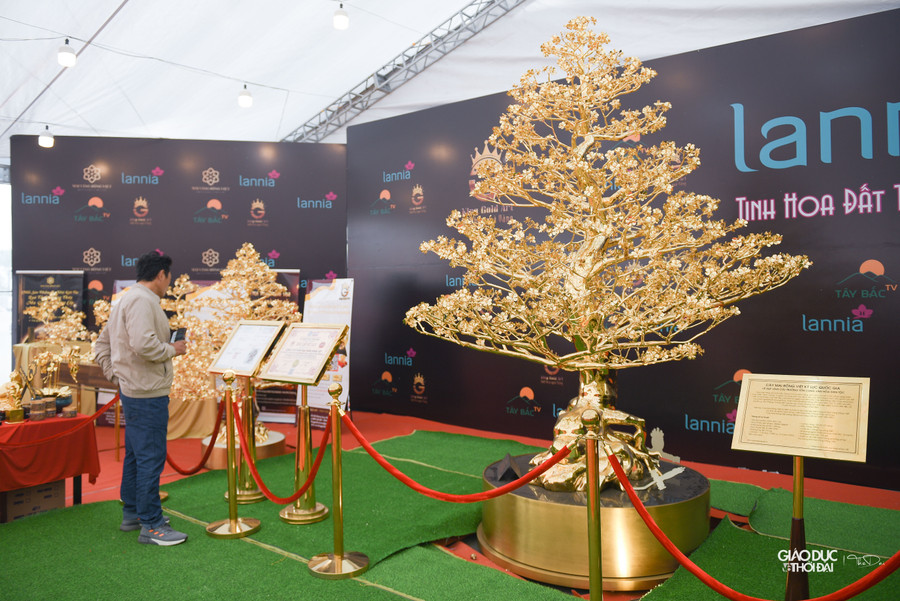 Cây mai mạ vàng có chiều cao 3 m, khối lượng 288 kg được làm từ đồng mạ vàng 24K. Cây mai mạ vàng có chiều cao 3 m, khối lượng 288 kg được làm từ đồng mạ vàng 24K.