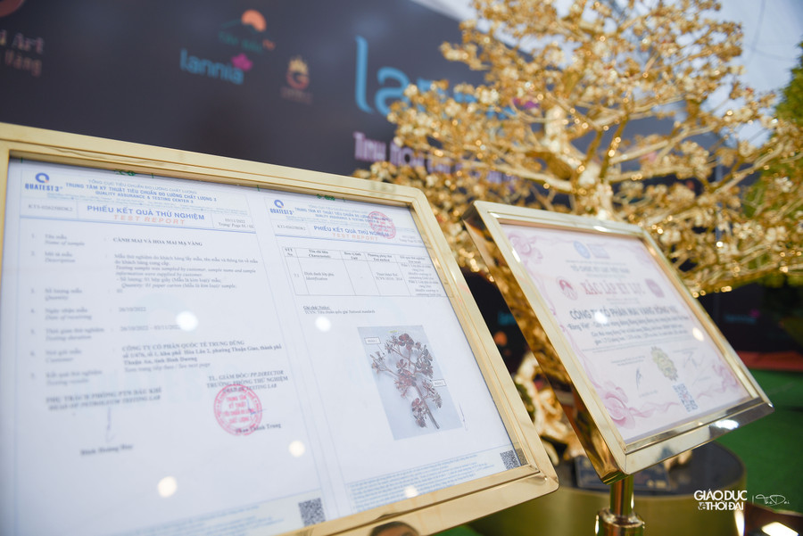 "Ý nghĩa cây mai thể hiện sự phú quý, may mắn, hạnh phúc và bình an. Đây là biểu tượng của văn hóa Việt Nam, chúng tôi muốn đưa ra thị trường để người dân được chiêm ngưỡng, tận hưởng vẻ đẹp của nó" anh Định cho biết thêm. "Ý nghĩa cây mai thể hiện sự phú quý, may mắn, hạnh phúc và bình an. Đây là biểu tượng của văn hóa Việt Nam, chúng tôi muốn đưa ra thị trường để người dân được chiêm ngưỡng, tận hưởng vẻ đẹp của nó" anh Định cho biết thêm.