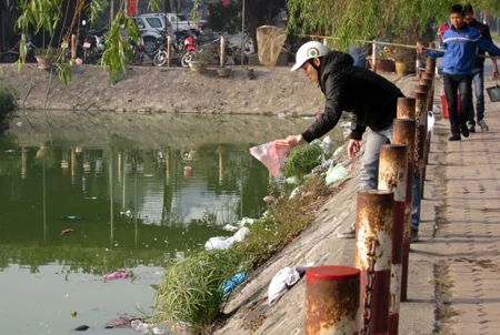 Cá chép "chầu trời" bị vớt ngay khi vừa thả 