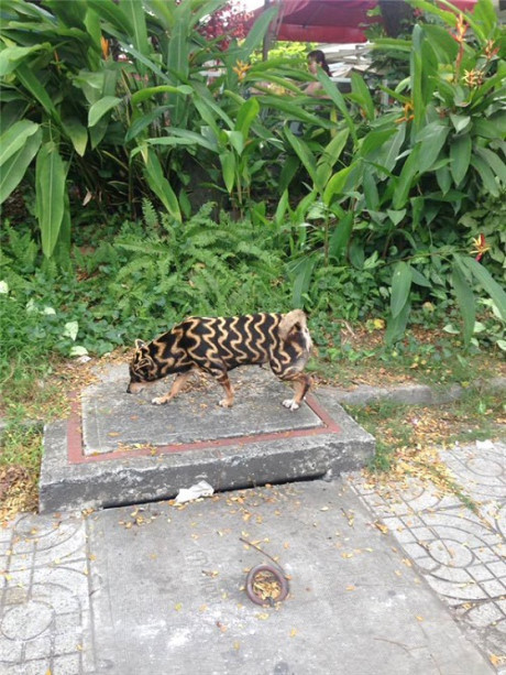 Thư giãn với loạt ảnh Thu gian voi loat anh