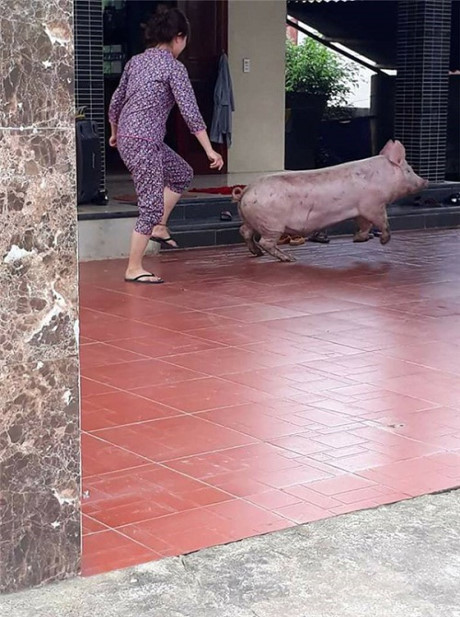 Thư giãn với loạt ảnh Thu gian voi loat anh