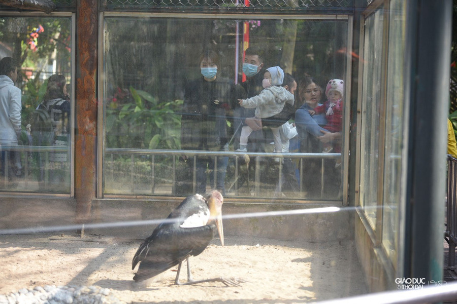 Chính vì vậy, nhiều dịp lễ tết ở công viên lượng người đổ dồn về đây rất đông. Chính vì vậy, nhiều dịp lễ tết ở công viên lượng người đổ dồn về đây rất đông.