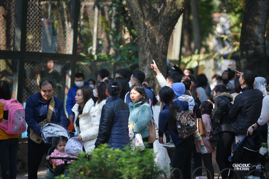 Tại Hà Nội có khá nhiều điểm vui chơi cho cả gia đình vào những dịp lễ tết, nhưng tại công viên Thủ Lệ vẫn là địa điểm được nhiều bậc phụ huynh lựa chọn cho con em mình đến chơi. Tại Hà Nội có khá nhiều điểm vui chơi cho cả gia đình vào những dịp lễ tết, nhưng tại công viên Thủ Lệ vẫn là địa điểm được nhiều bậc phụ huynh lựa chọn cho con em mình đến chơi.