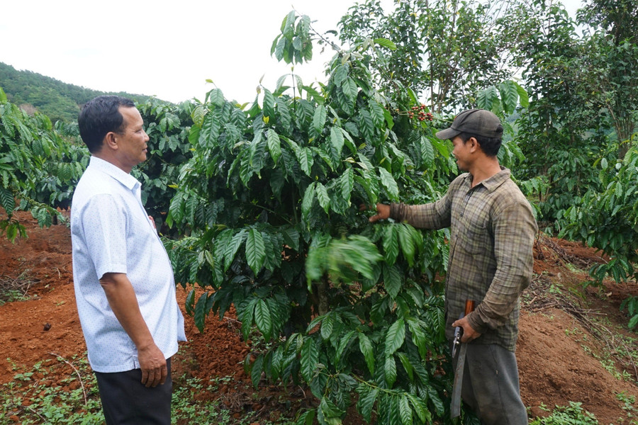 Bí thư Đảng uỷ xã Đăk Kôi - Trương Hồng Doanh trò chuyện cùng anh A Đơm. Bí thư Đảng uỷ xã Đăk Kôi - Trương Hồng Doanh trò chuyện cùng anh A Đơm.
