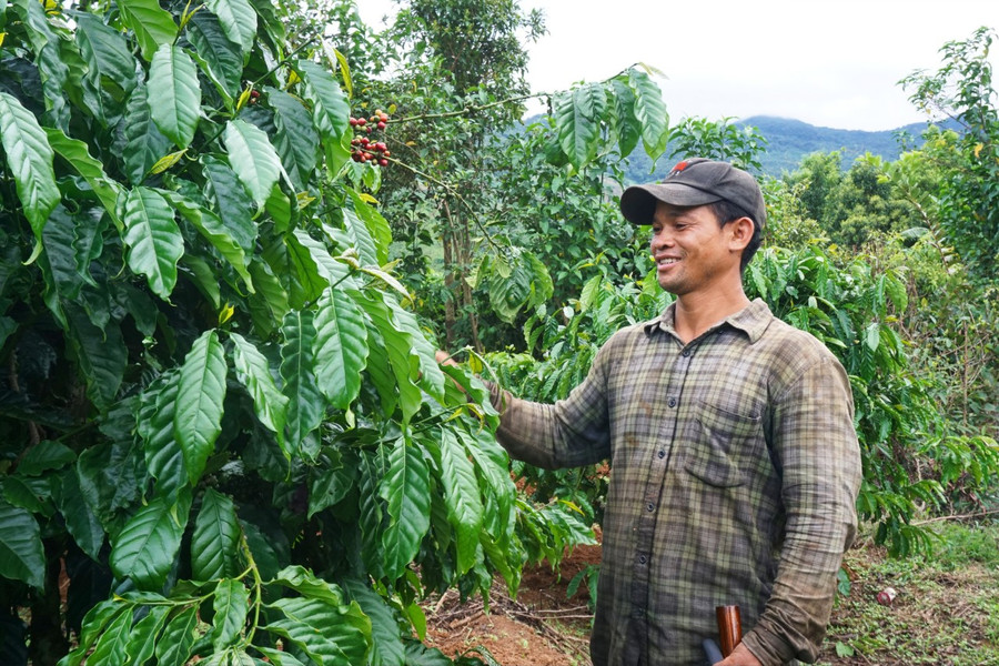 A Đơm từ cuộc sống khốn khó đã vươn lên làm giàu, trở thành Bí thư chi bộ thôn.