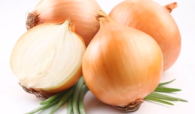 Hành tây có tác dụng tiêu diệt các vi khuẩn lây nhiễm.