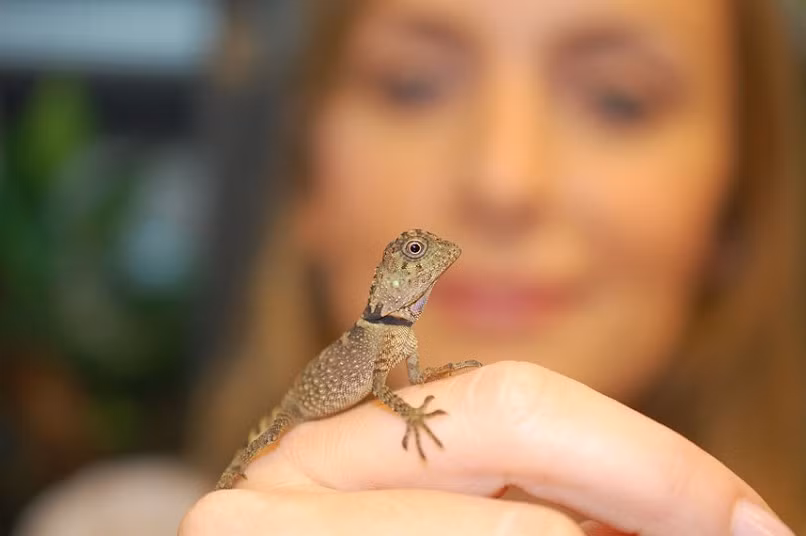 Chester zookeeper Ruth Smith with a rare baby Bell