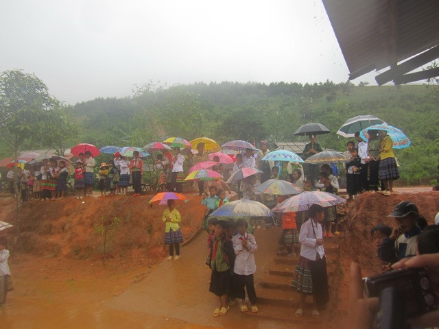 Nhìn em như những bông hoa rực rỡ trên núi cao