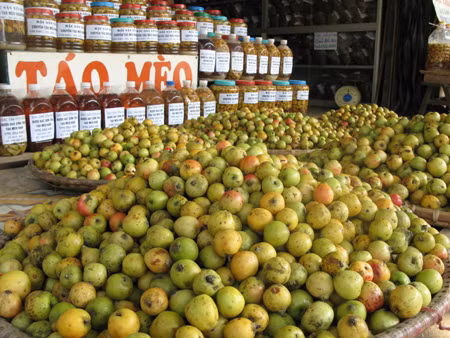 Sơn tra xóa nghèo ở Mù Cang Chải