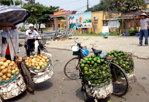 &quot;Nhái&quot; hoa quả, hàng hiệu