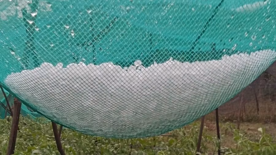 Mưa đá tại thành phố Kon Tum gây thiệt hại nặng nề.