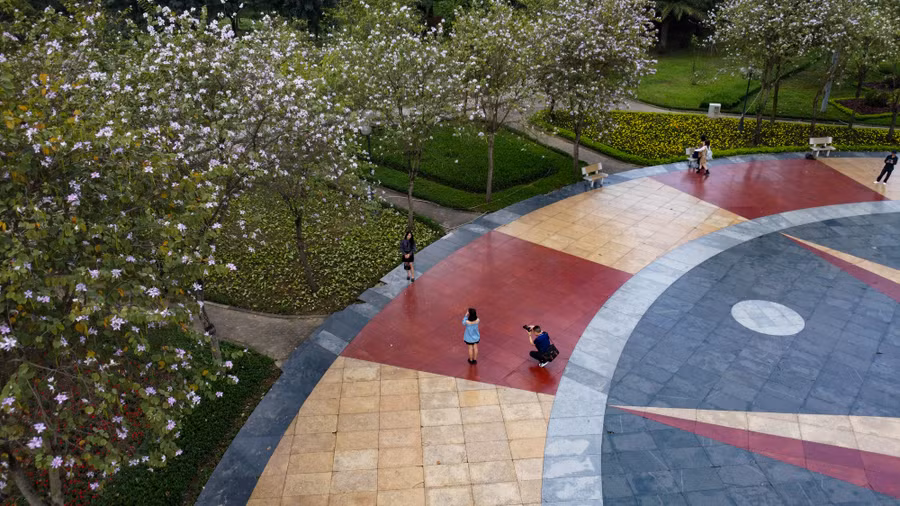 Những ngày gần đây công viên bỗng nhiên trở thành điểm check in nổi tiếng của giới trẻ với hàng chục cây hoa ban, phong phú về chủng loại và màu sắc.